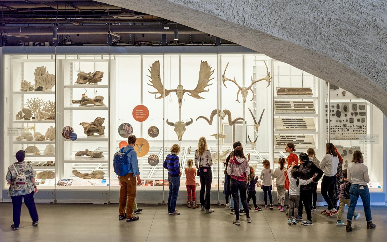 Entradas para el museo estadounidense de historia natural - image 2