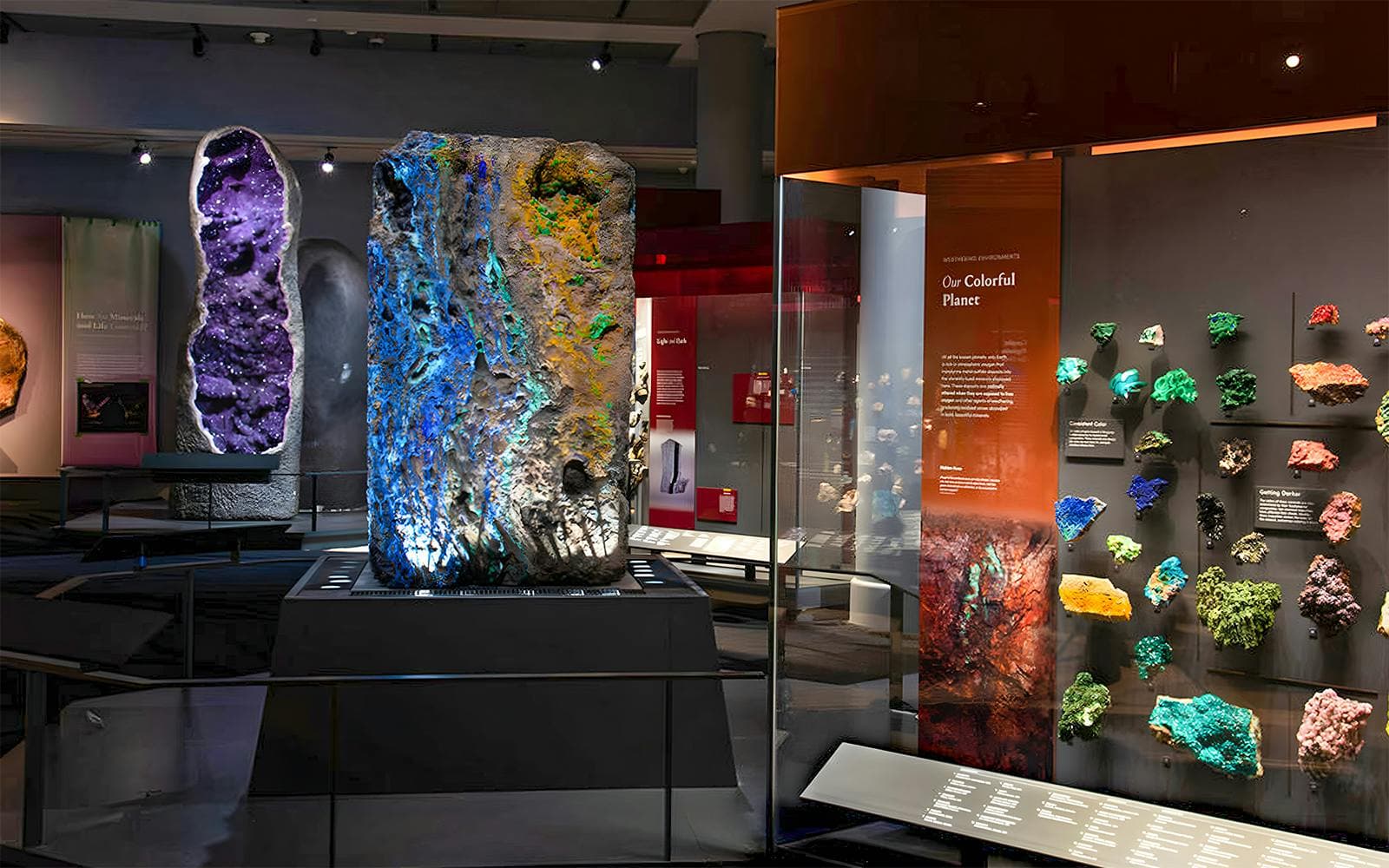 Entradas para el museo estadounidense de historia natural - image 4