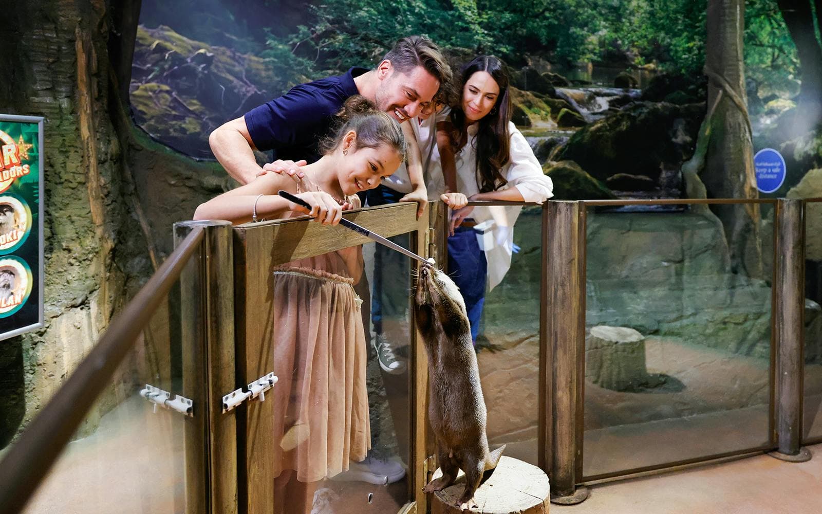 Billets pour l'Aquarium et le zoo sous-marin de Dubaï avec la Baie des pingouins - image 6