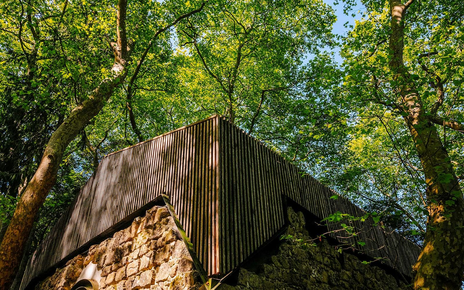 Biglietti per il Castelo dos Mouros - image 7