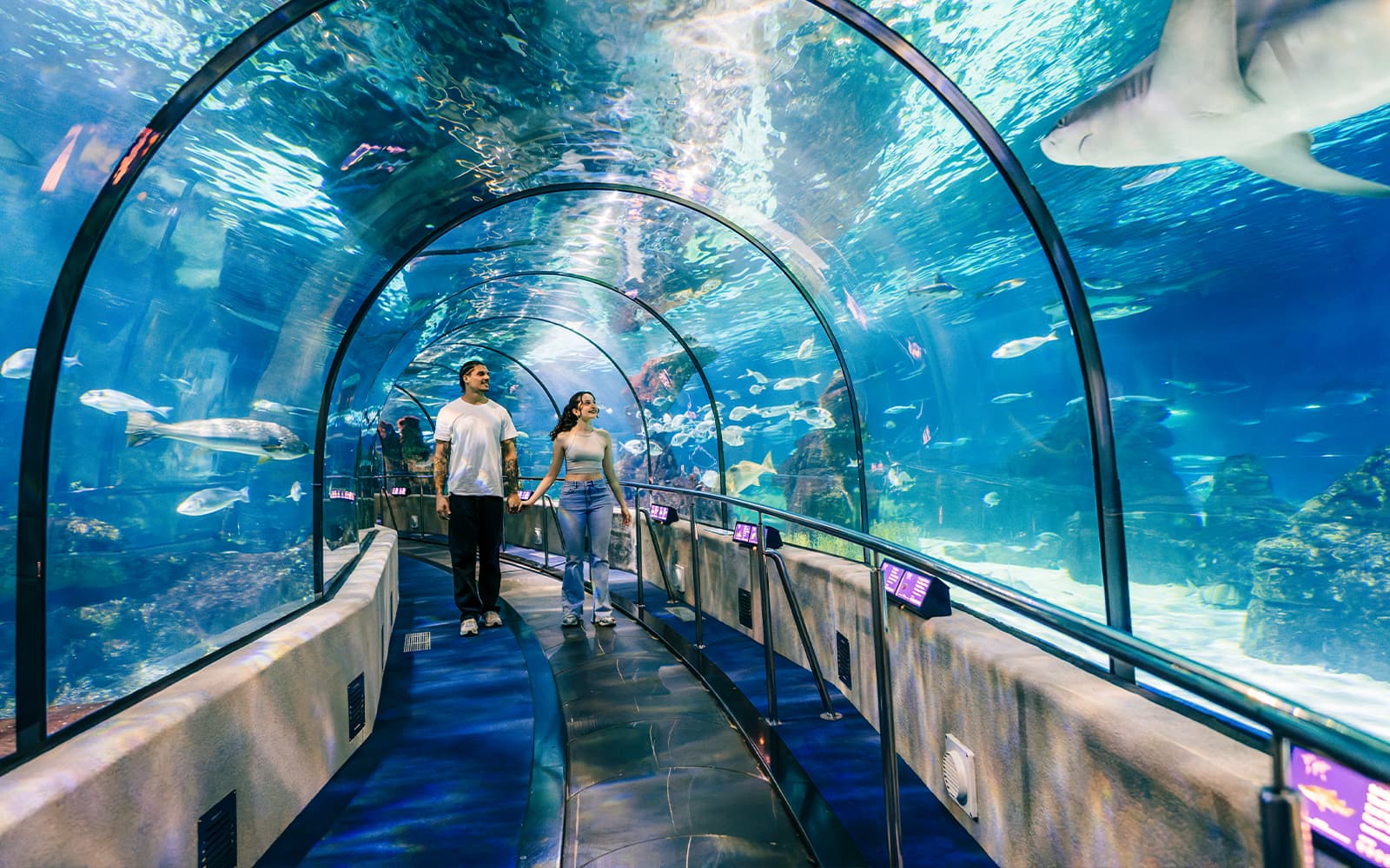 Aquarium van Barcelona