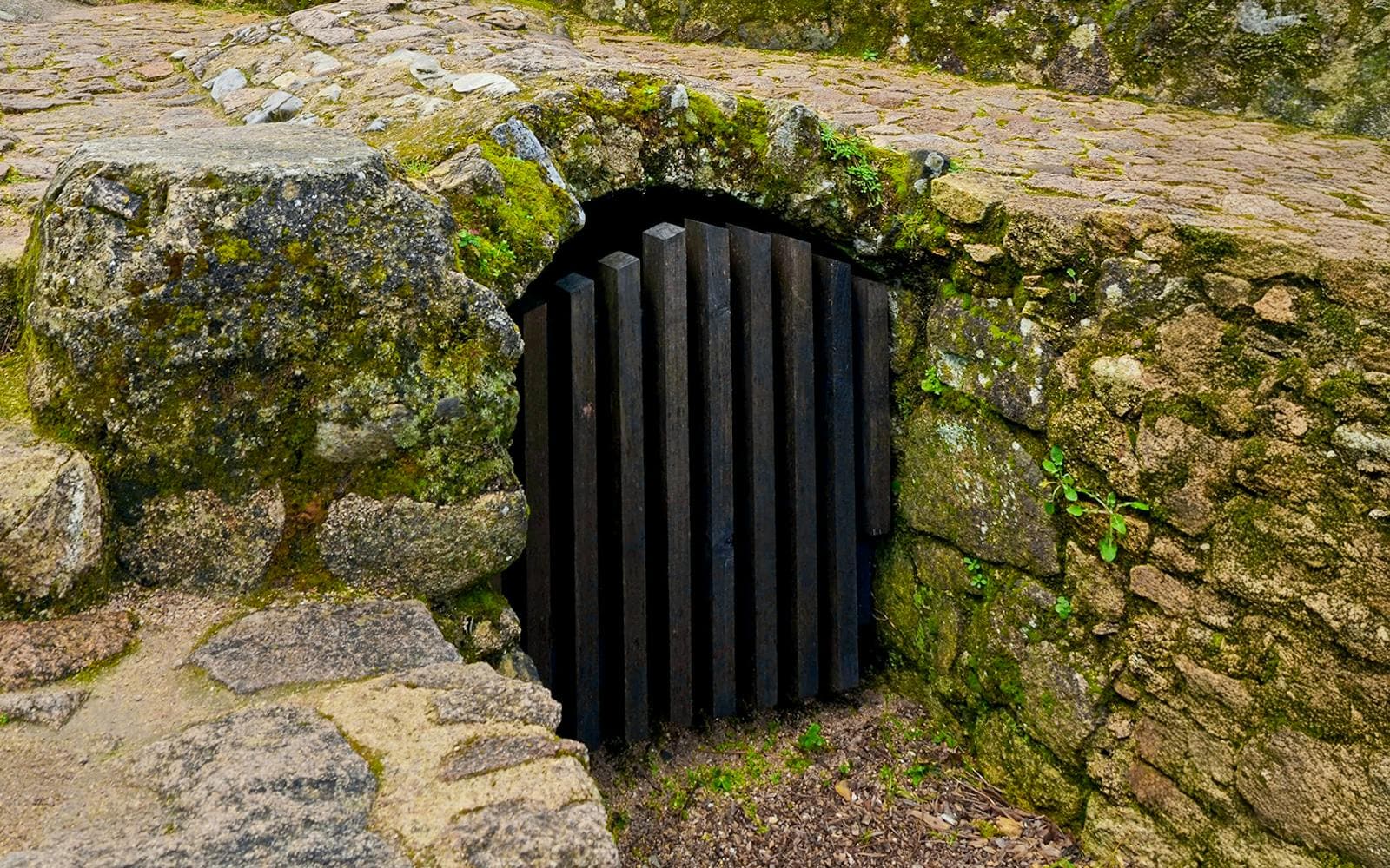 Biglietti per il Castelo dos Mouros - image 9