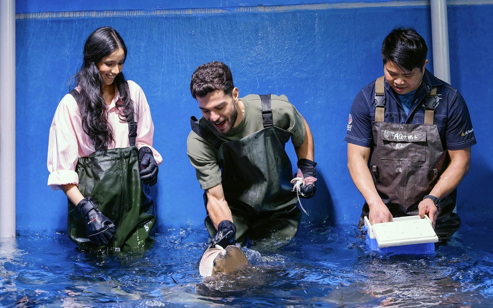 Billets pour l'Aquarium et le zoo sous-marin de Dubaï avec la Baie des pingouins - image 8