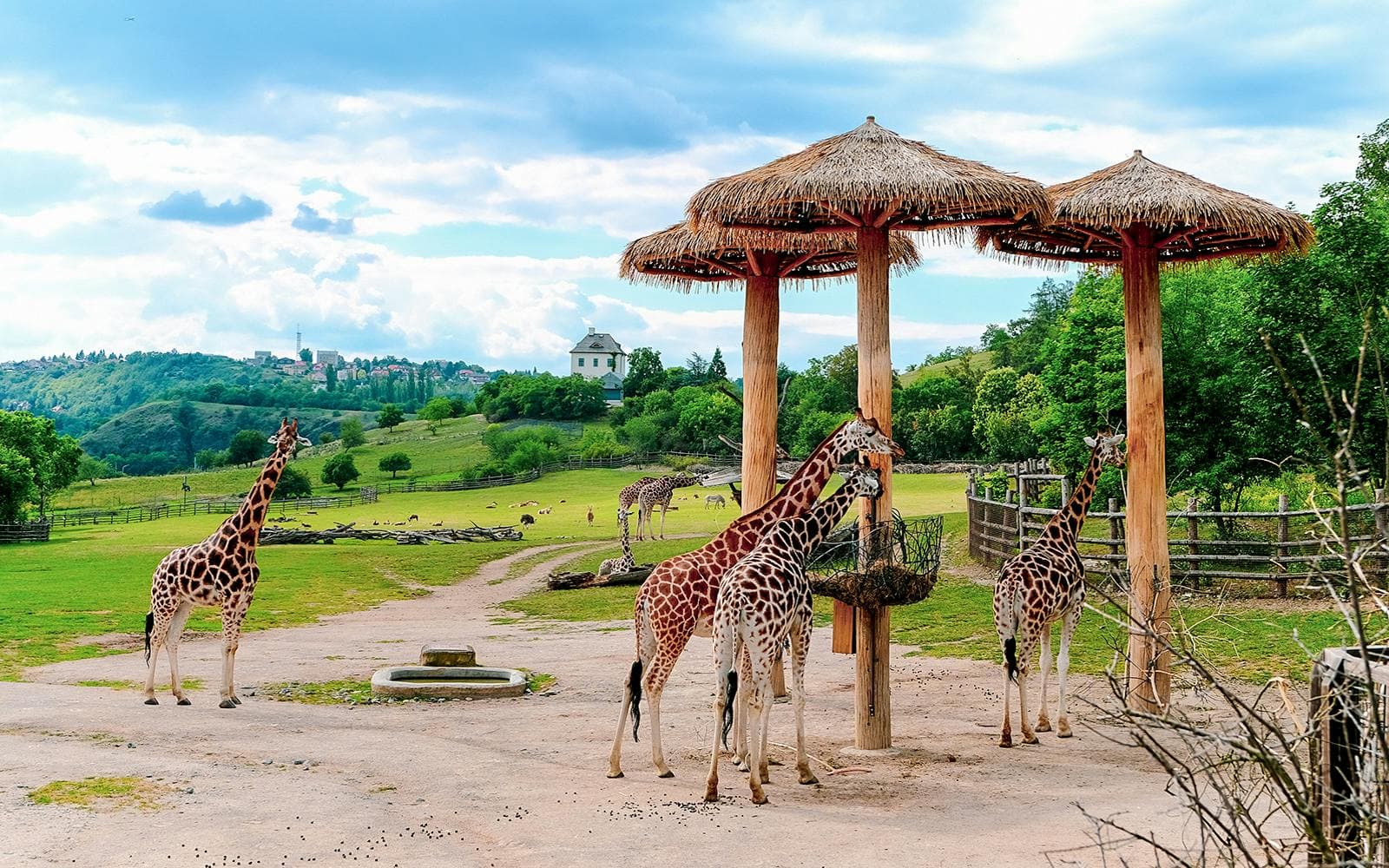 Biglietti per lo zoo di Praga - image 3