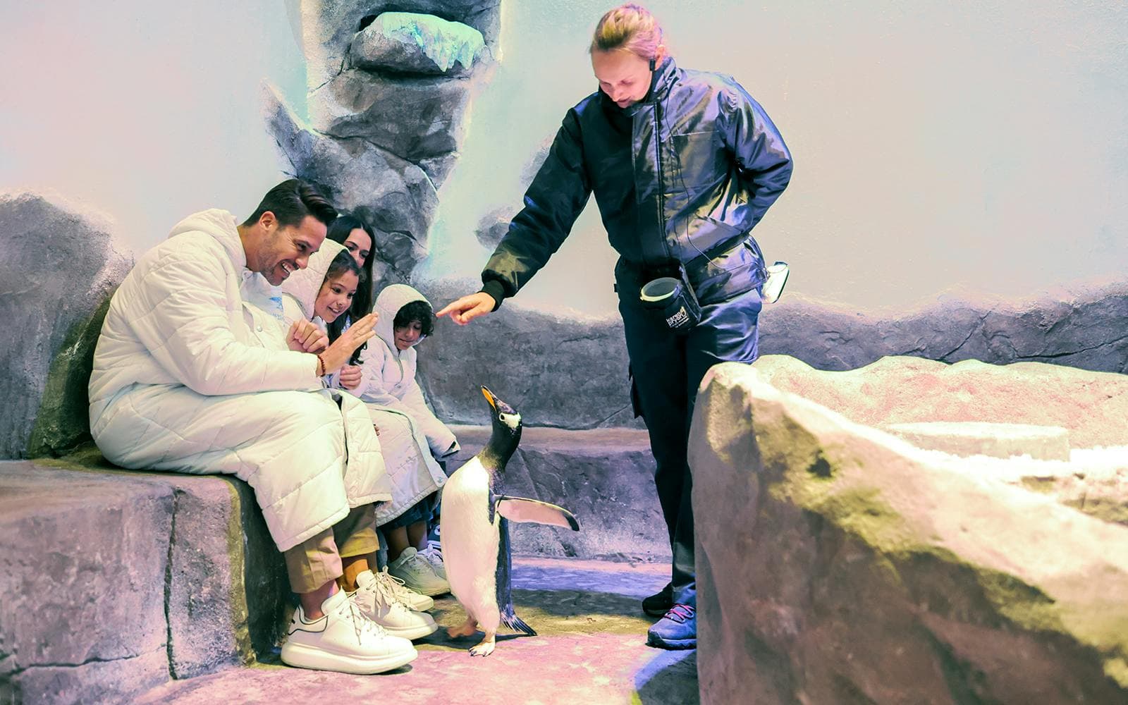 Billets pour l'Aquarium et le zoo sous-marin de Dubaï avec la Baie des pingouins - image 10