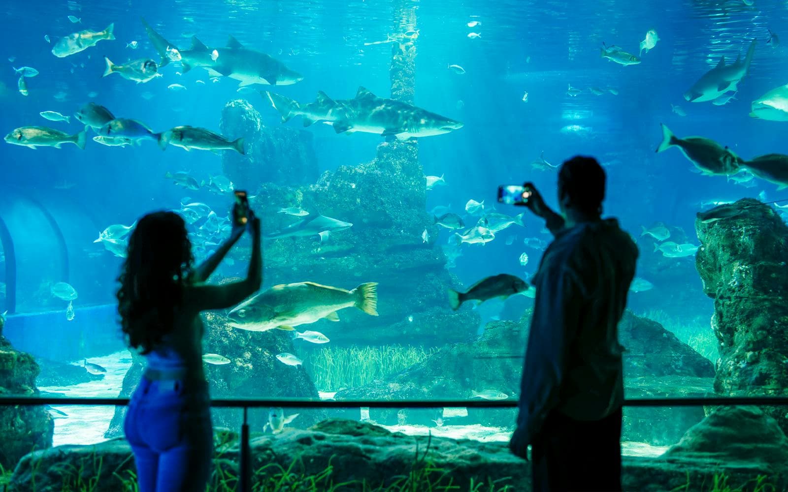 Barcelona Aquarium Schnelleinlass-Tickets - image 2