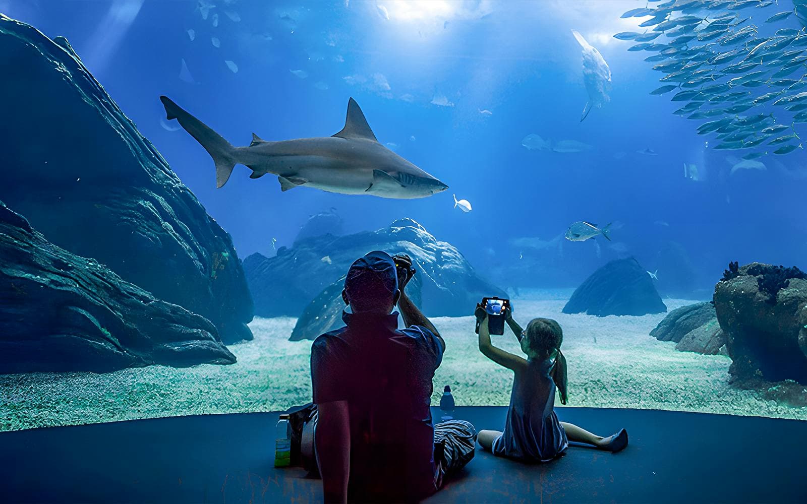 Biglietti per l'Oceanario di Lisbona - image 2
