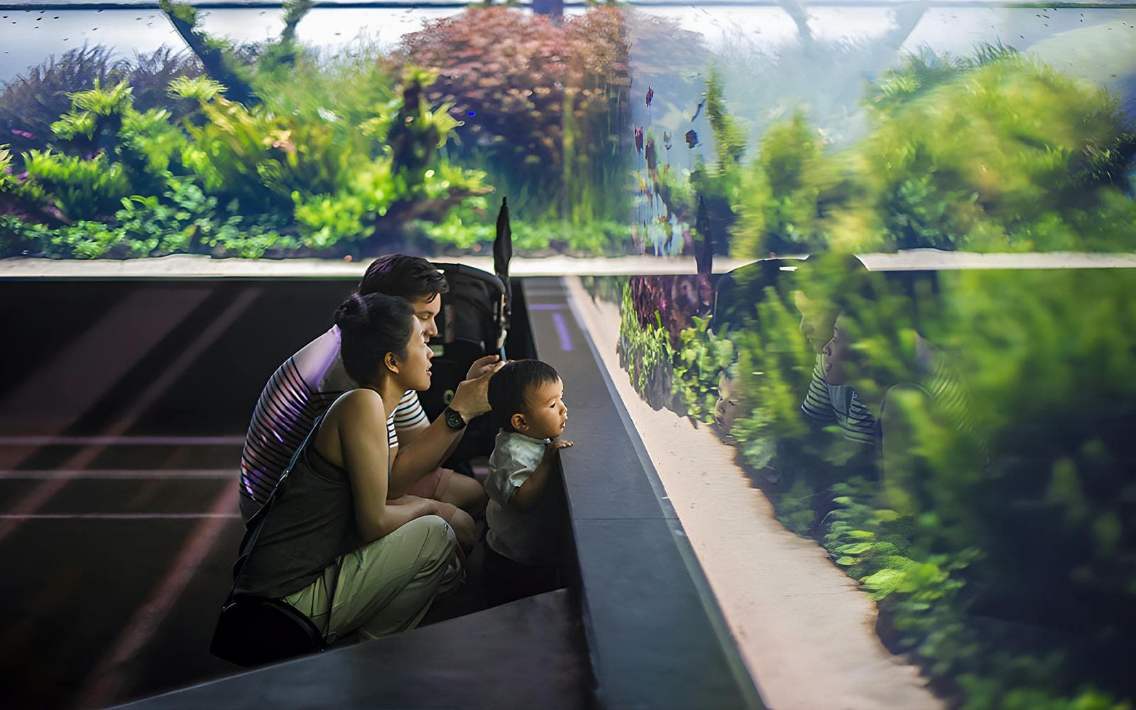 Tickets voor het Oceanário de Lisboa
