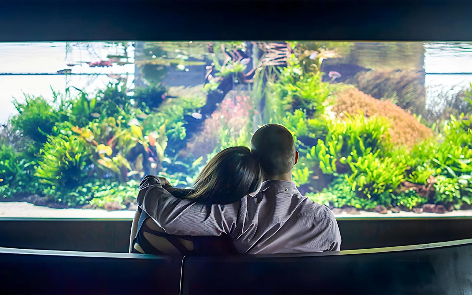 Biglietti per l'Oceanario di Lisbona - image 3