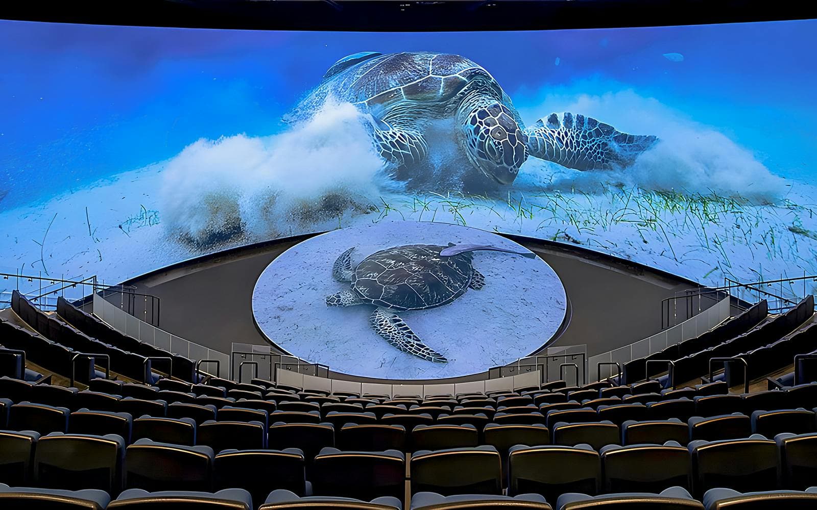 Biglietti Salta la Fila per Aquarium of the Pacific - image 10